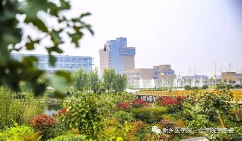 新乡医学院三全学院2023年专升本招生专业 - 知乎