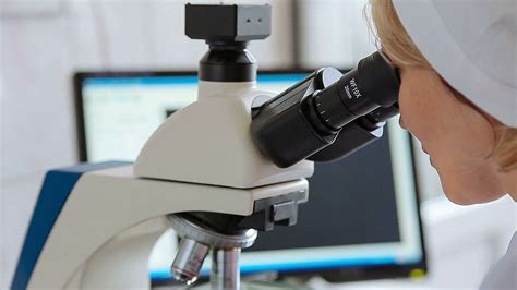Image result for Lab Microscope Training