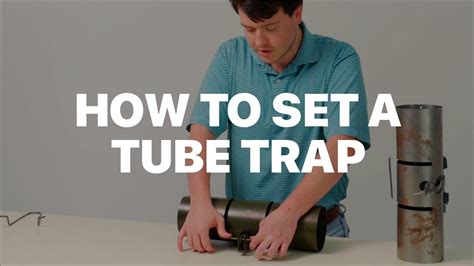 Image result for PVC Squirrel Trap