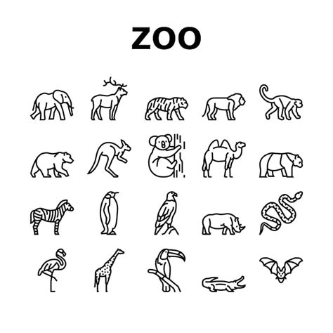 Mapa zoo ikonami Zdjęcia - darmowe pobieranie na Freepik