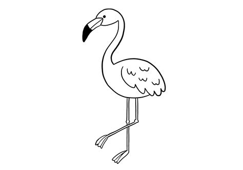 How to Draw a Flamingo (in 4 Steps!) | Design Bundles
