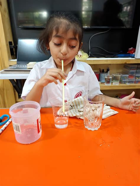 Manava Bharti India International School