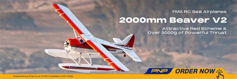 Image result for FMS Model Planes