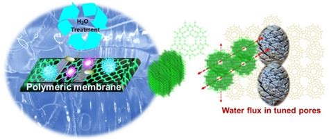 Optimized Polymeric Membranes for Water Treatment: Fabrication ...