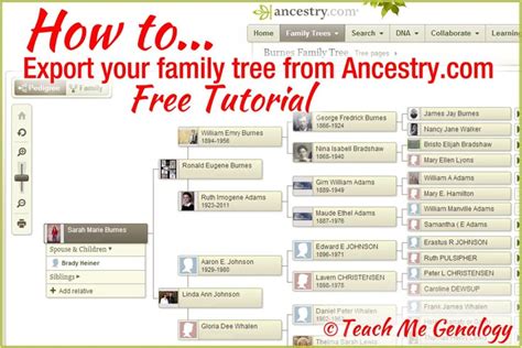 Image result for Ancestry.com Instructions