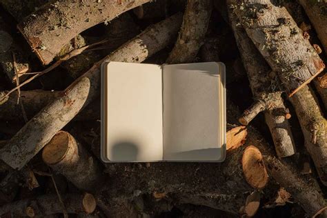 Sketchbook in Nature Mockup