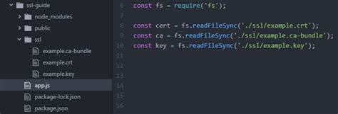 Node Server Using Open SSL 的图像结果