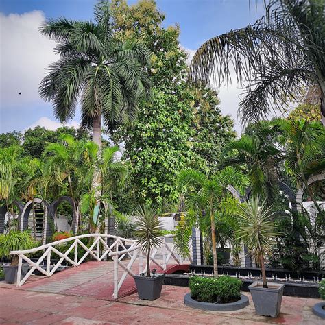 FOREST CLUB (Jungle Ramgarh Urf Sarka) - Hotel Reviews, Photos, Rate ...