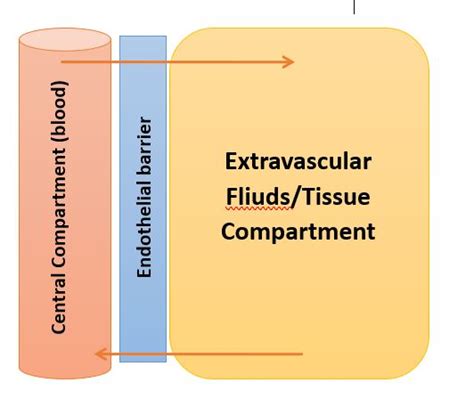 Tissue Distribution 的图像结果