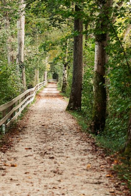 Image result for Rustic Path Walk