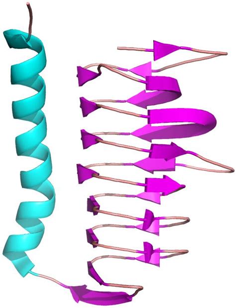Gamma-class carbonic anhydrase ( PDB ids: 2FKO , 1V67 , 1V3W )