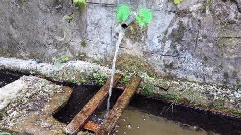 Image result for Fillongley Spring Water Source