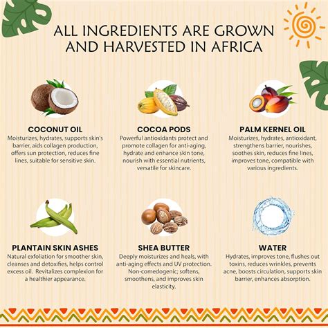 PlantGuru African Black Soap Paste 16 oz. / 1 lb. - 100% Raw India | Ubuy