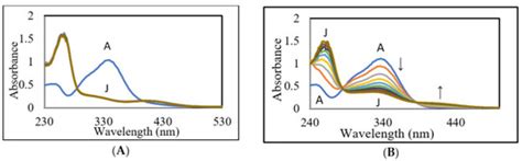Oxidative Oligomerization of DBL Catechol, a potential Cytotoxic ...