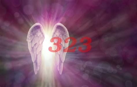 What Is The Spiritual Significance Of The 323 Angel Number? - TheReadingTub