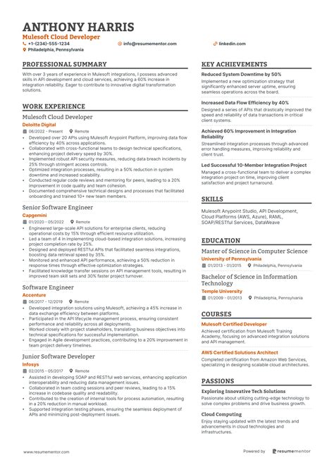 Image result for MuleSoft Developer Resume