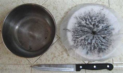 Image result for How to Use Buffing Compound Sticks