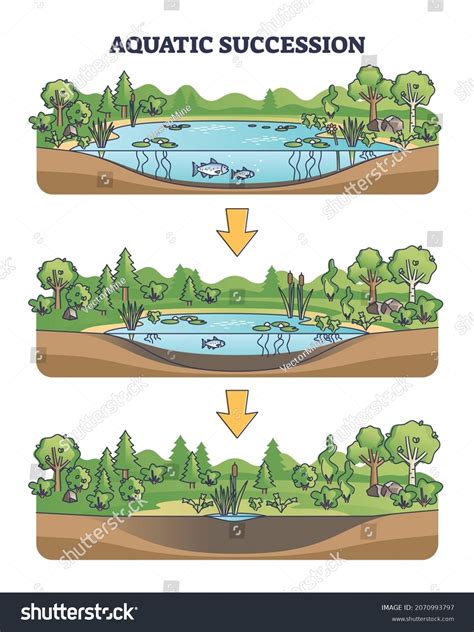 Ecosystem Drawing 的图像结果