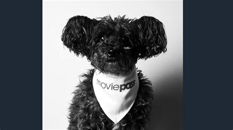 Image result for Kickapoo Movie