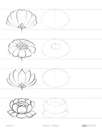 Image result for Drawing Tutorial for Flower