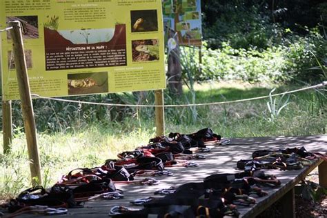 Defi Nature (Frossay) - All You Need to Know BEFORE You Go