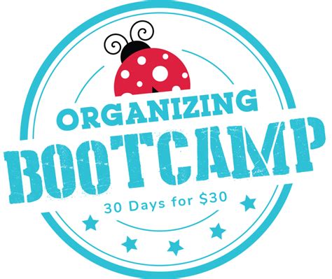 Image result for Clutterbug Before and After