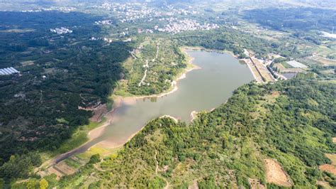 喝“山泉水”长大的青枣，有多甜？_种植_塘村_谢先生