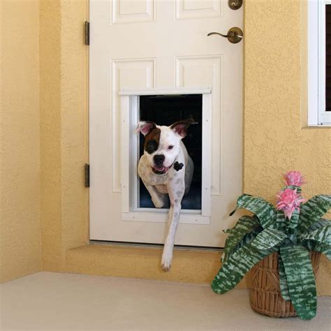 7 Best Electronic Dog Doors You Can Instal For your Dog In 2026