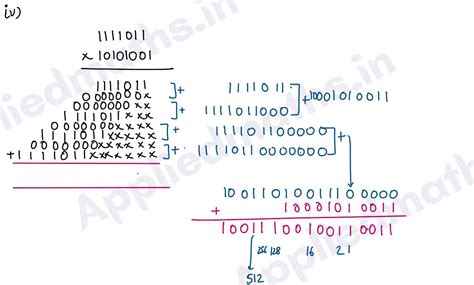 Applied Math Class 11 Binary Numbers 的图像结果