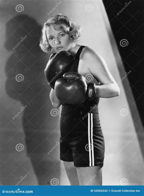 Boxer Portrait 的图像结果