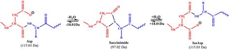 Image result for Random Science Computer Image