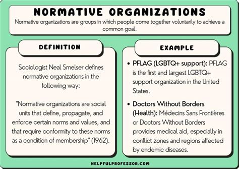 Social Organization Examples 的图像结果