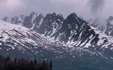 Types Tradewinds 的图像结果