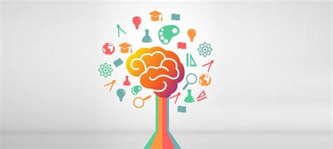 Image result for Best MSA Program