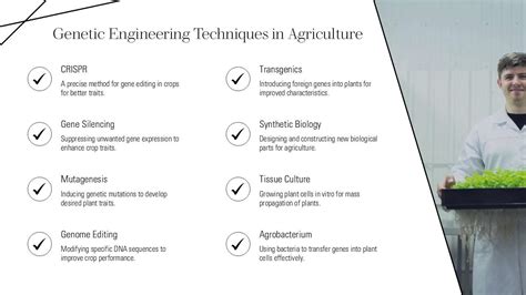 Simple Biotechnology PowerPoint Presentation 的图像结果