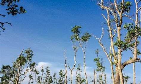 Tenggarong Tourism (2023): Best of Tenggarong, Indonesia - Tripadvisor