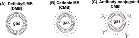 Image result for Definity Microbubbles