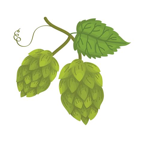 Hop Vector 的图像结果