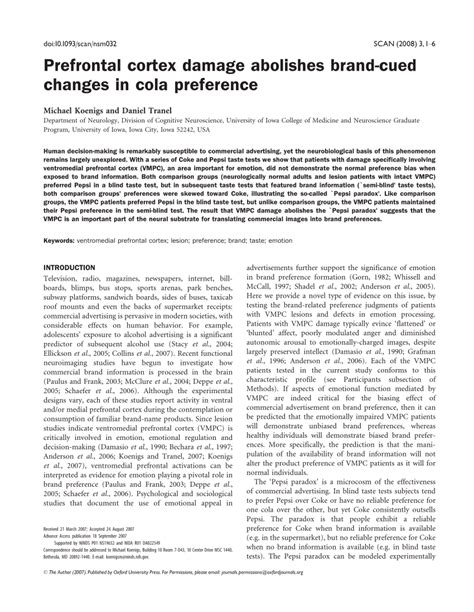 Image result for Prefrontal Cortex Damage