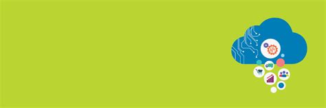 Image result for Path SAP