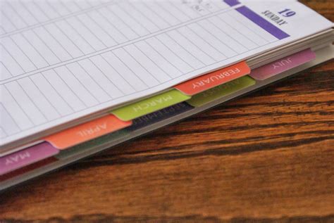 Nikkis' Nacs: Plum Paper Designs Planner Review and Coupon Code