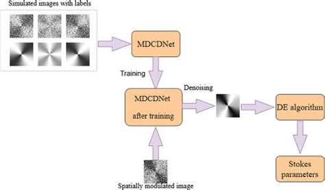 Simulation Process Animation 的图像结果