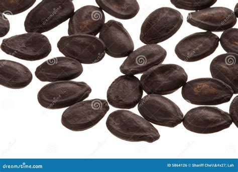 Watermelon Seeds stock photo. Image of seed, healthy, watermelons - 5864126