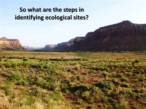 PPT - Introduction to Soils and Ecological Sites PowerPoint ...