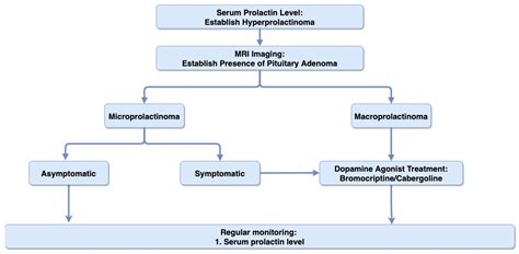 Pituitary Adenomas: From Diagnosis to Therapeutics