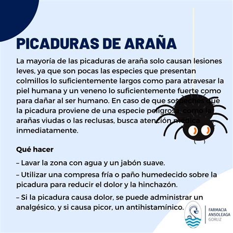 Síntomas Y Tratamiento De Las Picaduras De Araña