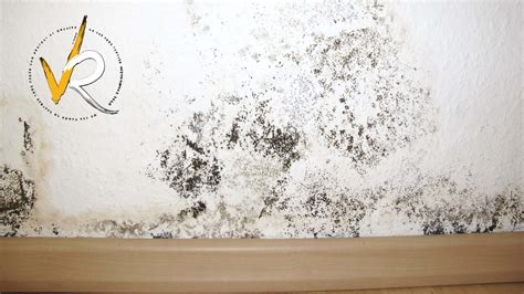 How to Remove Mold from Walls Safely & Effectively