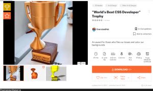 Image result for Best CSS Developer Trophy