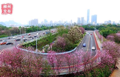 柳州在哪里属于哪个省的，广西柳州在哪里，柳州在哪个省，属于哪个市