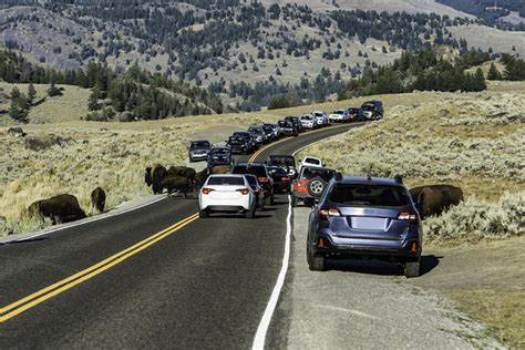 Cheapest Car Insurance in Wyoming for 2026 | U.S. News